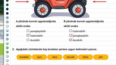 3. Sınıf Meb Yayınları Fen Bilimleri Ders Kitabı Sayfa 79 Cevapları