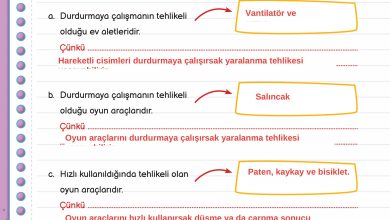 3. Sınıf Meb Yayınları Fen Bilimleri Ders Kitabı Sayfa 85 Cevapları