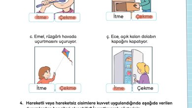 3. Sınıf Meb Yayınları Fen Bilimleri Ders Kitabı Sayfa 87 Cevapları