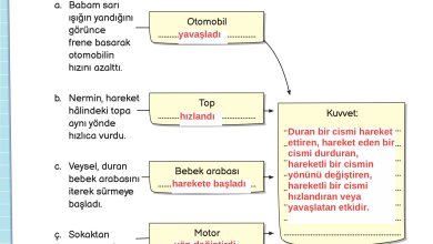 3. Sınıf Meb Yayınları Fen Bilimleri Ders Kitabı Sayfa 88 Cevapları