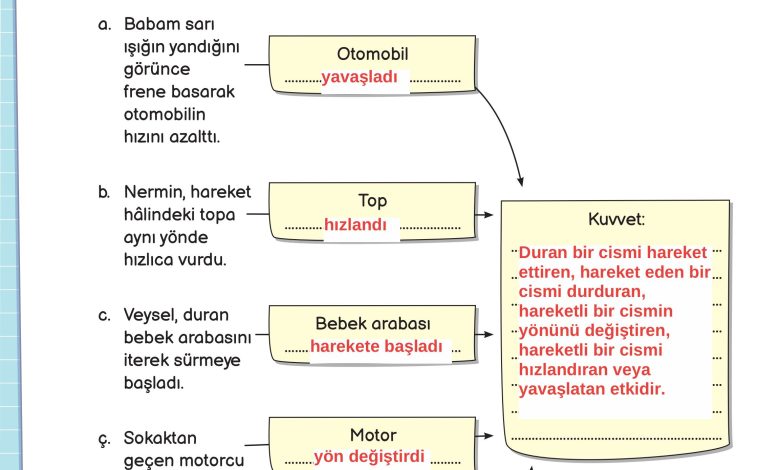 3. Sınıf Meb Yayınları Fen Bilimleri Ders Kitabı Sayfa 88 Cevapları