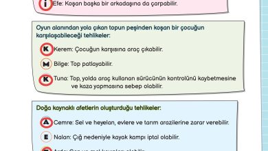 3. Sınıf Meb Yayınları Fen Bilimleri Ders Kitabı Sayfa 89 Cevapları