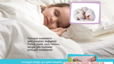 3. Sınıf Meb Yayınları Fen Bilimleri Ders Kitabı Sayfa 95 Cevapları