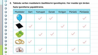 3. Sınıf Meb Yayınları Fen Bilimleri Ders Kitabı Sayfa 99 Cevapları