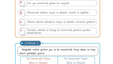 3. Sınıf Meb Yayınları Hayat Bilgisi Ders Kitabı Sayfa 101 Cevapları