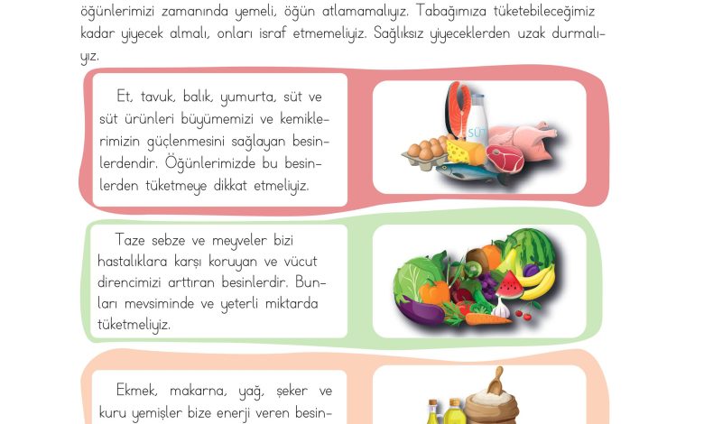 3. Sınıf Meb Yayınları Hayat Bilgisi Ders Kitabı Sayfa 102 Cevapları