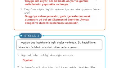 3. Sınıf Meb Yayınları Hayat Bilgisi Ders Kitabı Sayfa 104 Cevapları