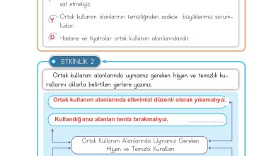 3. Sınıf Meb Yayınları Hayat Bilgisi Ders Kitabı Sayfa 107 Cevapları