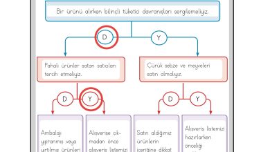 3. Sınıf Meb Yayınları Hayat Bilgisi Ders Kitabı Sayfa 110 Cevapları