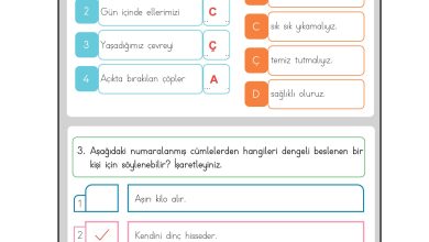 3. Sınıf Meb Yayınları Hayat Bilgisi Ders Kitabı Sayfa 111 Cevapları