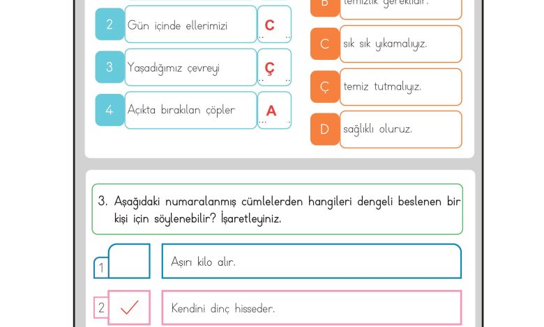 3. Sınıf Meb Yayınları Hayat Bilgisi Ders Kitabı Sayfa 111 Cevapları