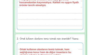 3. Sınıf Meb Yayınları Hayat Bilgisi Ders Kitabı Sayfa 113 Cevapları