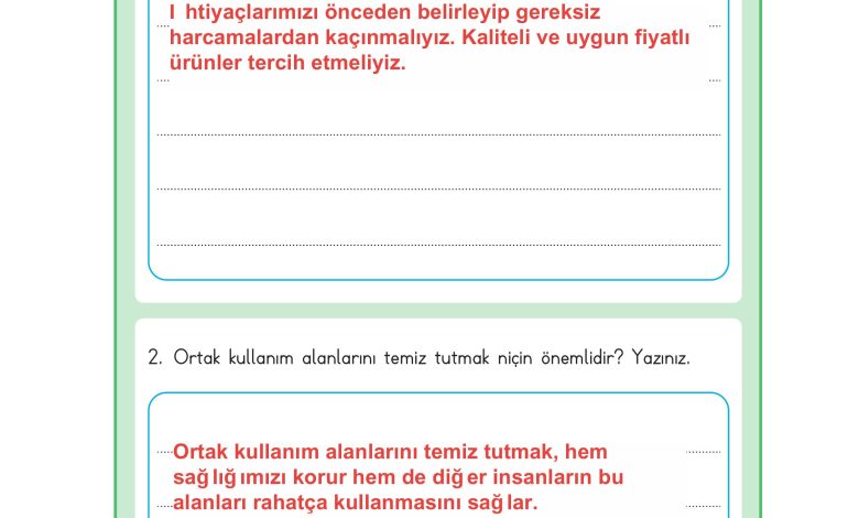 3. Sınıf Meb Yayınları Hayat Bilgisi Ders Kitabı Sayfa 113 Cevapları