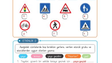 3. Sınıf Meb Yayınları Hayat Bilgisi Ders Kitabı Sayfa 120 Cevapları