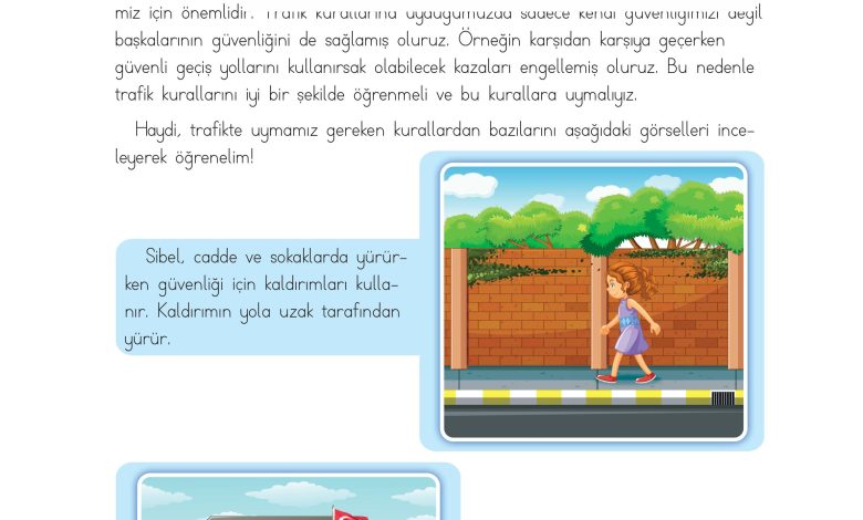 3. Sınıf Meb Yayınları Hayat Bilgisi Ders Kitabı Sayfa 121 Cevapları