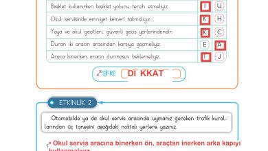 3. Sınıf Meb Yayınları Hayat Bilgisi Ders Kitabı Sayfa 123 Cevapları