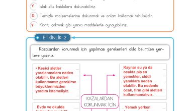 3. Sınıf Meb Yayınları Hayat Bilgisi Ders Kitabı Sayfa 127 Cevapları