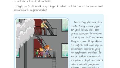 3. Sınıf Meb Yayınları Hayat Bilgisi Ders Kitabı Sayfa 128 Cevapları