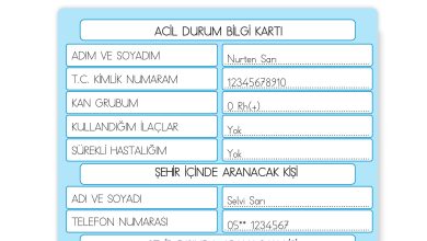 3. Sınıf Meb Yayınları Hayat Bilgisi Ders Kitabı Sayfa 129 Cevapları