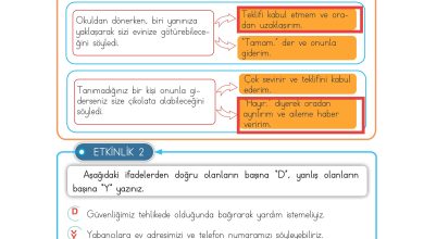 3. Sınıf Meb Yayınları Hayat Bilgisi Ders Kitabı Sayfa 133 Cevapları