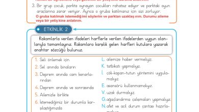 3. Sınıf Meb Yayınları Hayat Bilgisi Ders Kitabı Sayfa 137 Cevapları