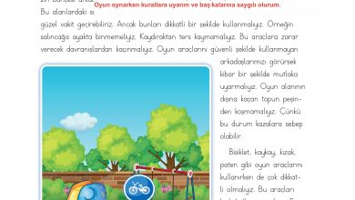 3. Sınıf Meb Yayınları Hayat Bilgisi Ders Kitabı Sayfa 138 Cevapları