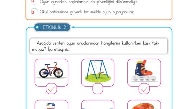 3. Sınıf Meb Yayınları Hayat Bilgisi Ders Kitabı Sayfa 139 Cevapları