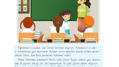 3. Sınıf Meb Yayınları Hayat Bilgisi Ders Kitabı Sayfa 14 Cevapları