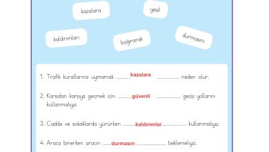 3. Sınıf Meb Yayınları Hayat Bilgisi Ders Kitabı Sayfa 140 Cevapları