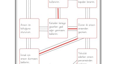 3. Sınıf Meb Yayınları Hayat Bilgisi Ders Kitabı Sayfa 143 Cevapları