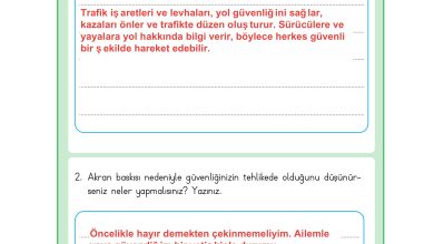 3. Sınıf Meb Yayınları Hayat Bilgisi Ders Kitabı Sayfa 145 Cevapları