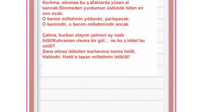 3. Sınıf Meb Yayınları Hayat Bilgisi Ders Kitabı Sayfa 149 Cevapları