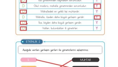 3. Sınıf Meb Yayınları Hayat Bilgisi Ders Kitabı Sayfa 153 Cevapları