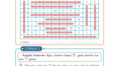 3. Sınıf Meb Yayınları Hayat Bilgisi Ders Kitabı Sayfa 155 Cevapları