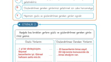 3. Sınıf Meb Yayınları Hayat Bilgisi Ders Kitabı Sayfa 16 Cevapları