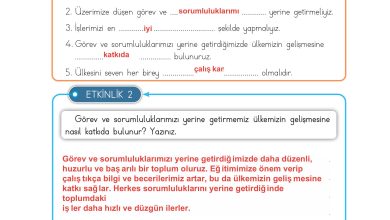 3. Sınıf Meb Yayınları Hayat Bilgisi Ders Kitabı Sayfa 161 Cevapları