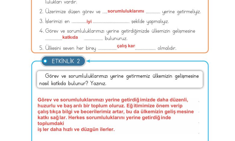 3. Sınıf Meb Yayınları Hayat Bilgisi Ders Kitabı Sayfa 161 Cevapları