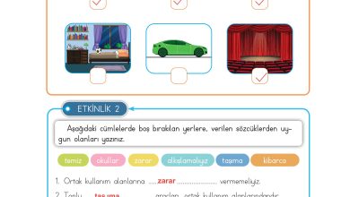 3. Sınıf Meb Yayınları Hayat Bilgisi Ders Kitabı Sayfa 163 Cevapları