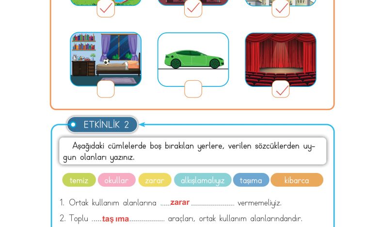 3. Sınıf Meb Yayınları Hayat Bilgisi Ders Kitabı Sayfa 163 Cevapları