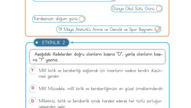 3. Sınıf Meb Yayınları Hayat Bilgisi Ders Kitabı Sayfa 165 Cevapları