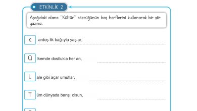 3. Sınıf Meb Yayınları Hayat Bilgisi Ders Kitabı Sayfa 168 Cevapları