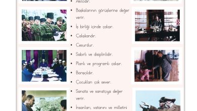 3. Sınıf Meb Yayınları Hayat Bilgisi Ders Kitabı Sayfa 171 Cevapları