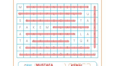 3. Sınıf Meb Yayınları Hayat Bilgisi Ders Kitabı Sayfa 172 Cevapları