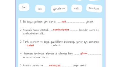 3. Sınıf Meb Yayınları Hayat Bilgisi Ders Kitabı Sayfa 177 Cevapları