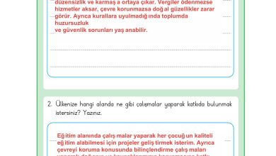 3. Sınıf Meb Yayınları Hayat Bilgisi Ders Kitabı Sayfa 181 Cevapları