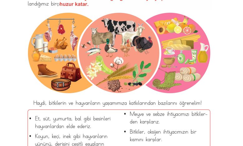 3. Sınıf Meb Yayınları Hayat Bilgisi Ders Kitabı Sayfa 188 Cevapları