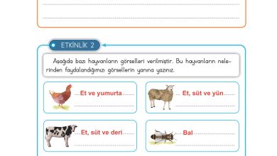 3. Sınıf Meb Yayınları Hayat Bilgisi Ders Kitabı Sayfa 189 Cevapları