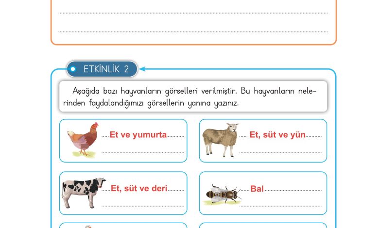 3. Sınıf Meb Yayınları Hayat Bilgisi Ders Kitabı Sayfa 189 Cevapları