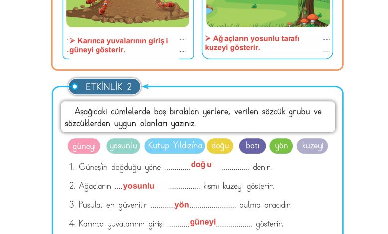 3. Sınıf Meb Yayınları Hayat Bilgisi Ders Kitabı Sayfa 195 Cevapları