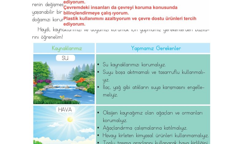 3. Sınıf Meb Yayınları Hayat Bilgisi Ders Kitabı Sayfa 199 Cevapları